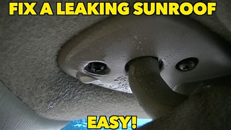 How To Fix A Leaking Sunroof In Your Car in A Quick & Easy Way